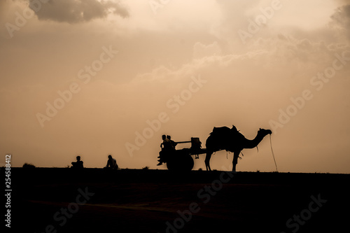 Camel Caravan Resting in the Desert in Rajasthan  India