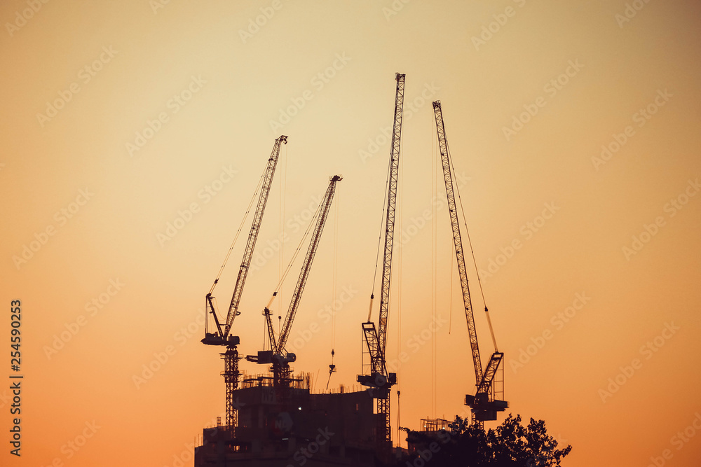 Heavy cranes, sunset