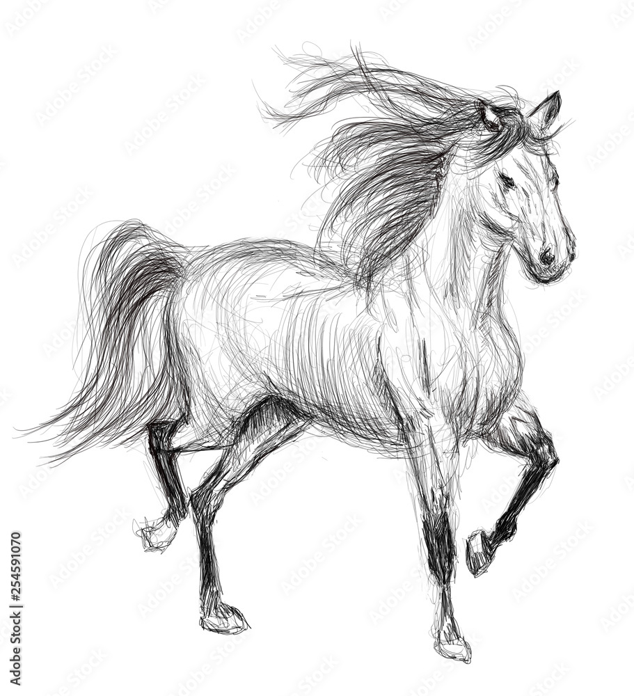 Fototapeta horse hand drawn illustration,art design