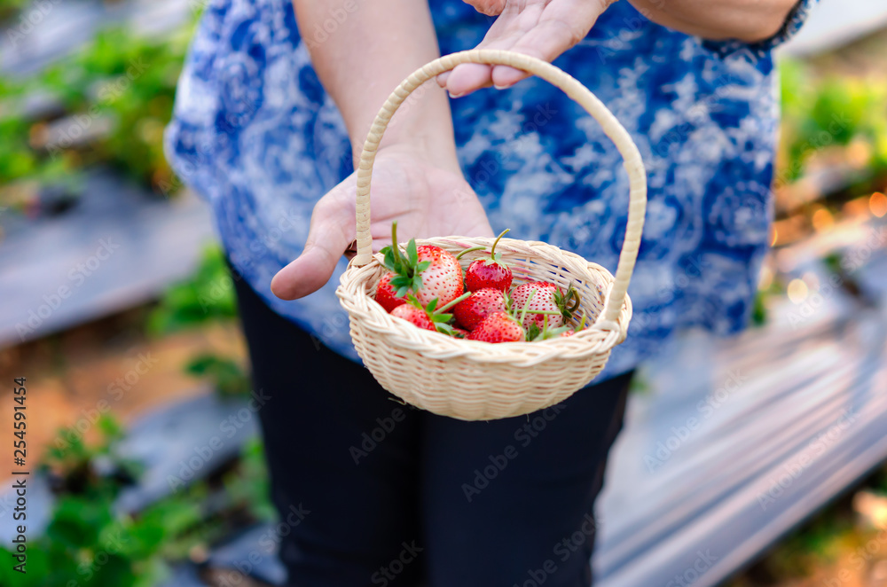 strawberries in basket