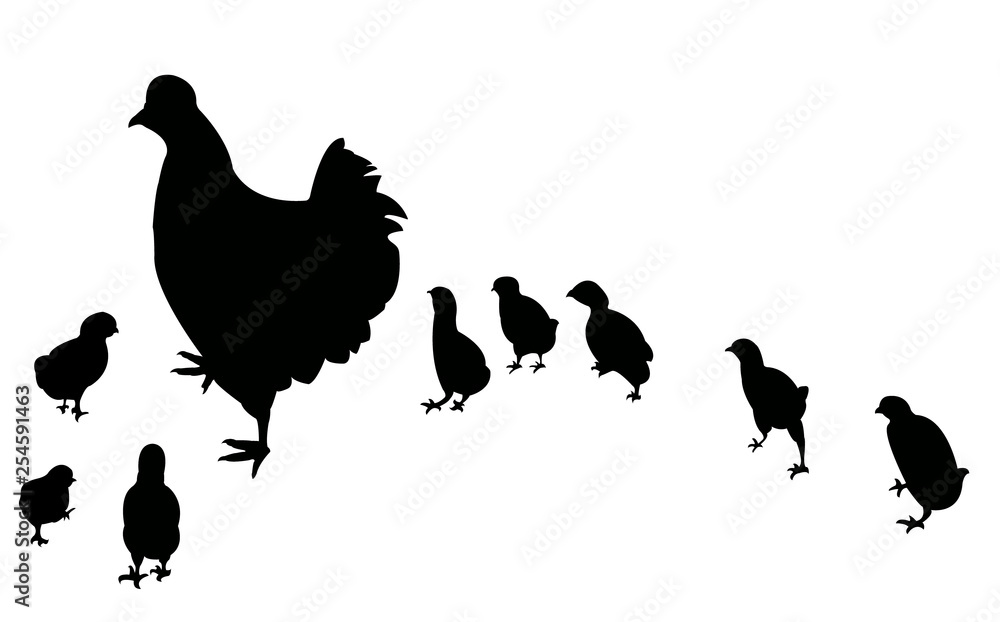 Fototapeta premium chickens silhouette vector
