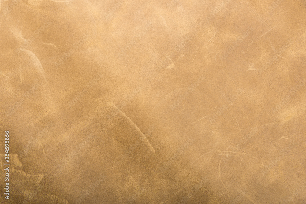 Naklejka premium Tanned leather dyed in olive green