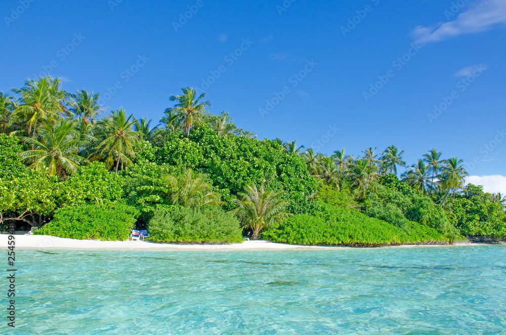 Landscape tropical trees against the background of turquoise water of the ocean Landscape tropical trees against the background of turquoise water of the ocean