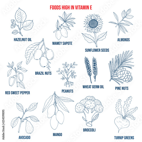 Natural herbs as source vitamin E nuts, vegetables, oils