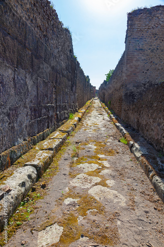 The city of Pompeii buried under a layer of ash by the volcano Mount Vesuvius