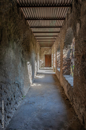 Fototapeta Naklejka Na Ścianę i Meble -  The city of Pompeii buried under a layer of ash by the volcano Mount Vesuvius