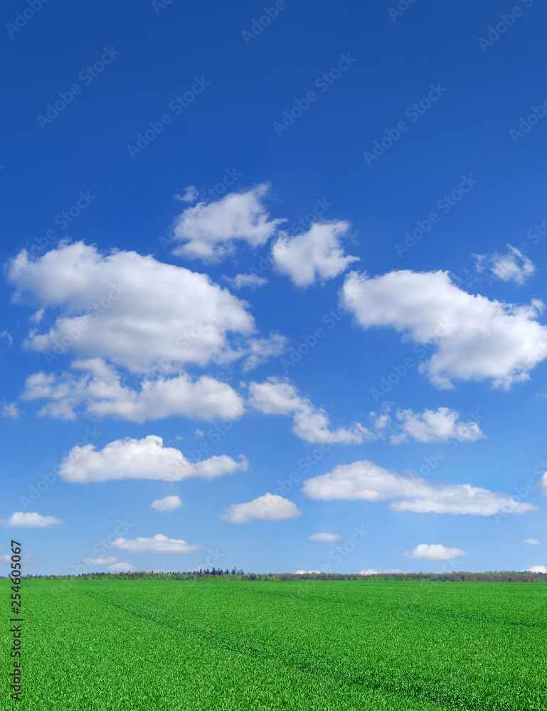 Idyllic view, green field and blue sky with white clouds Idyllic view, green field and blue sky with white clouds