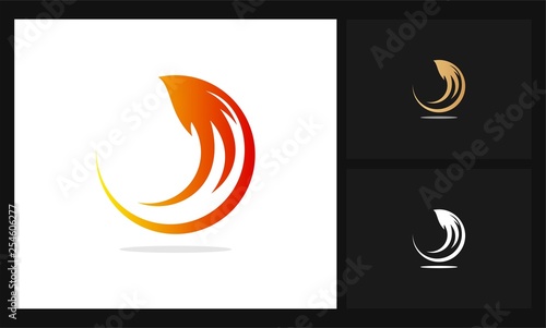 abstract hawk logo