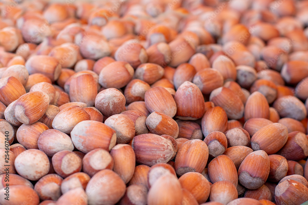 hazelnut on the market hazelnut on the market