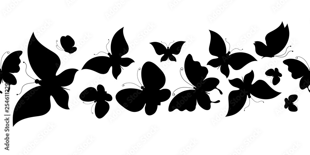 black butterfly, isolated on a white black butterfly, isolated on a white