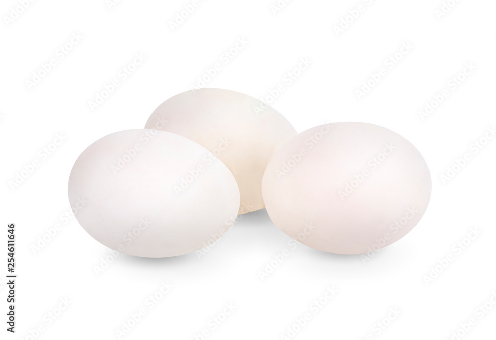 Duck egg ion white background Duck egg ion white background