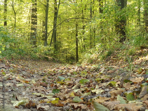 Wrzelowiecki Park Krajobrazowy