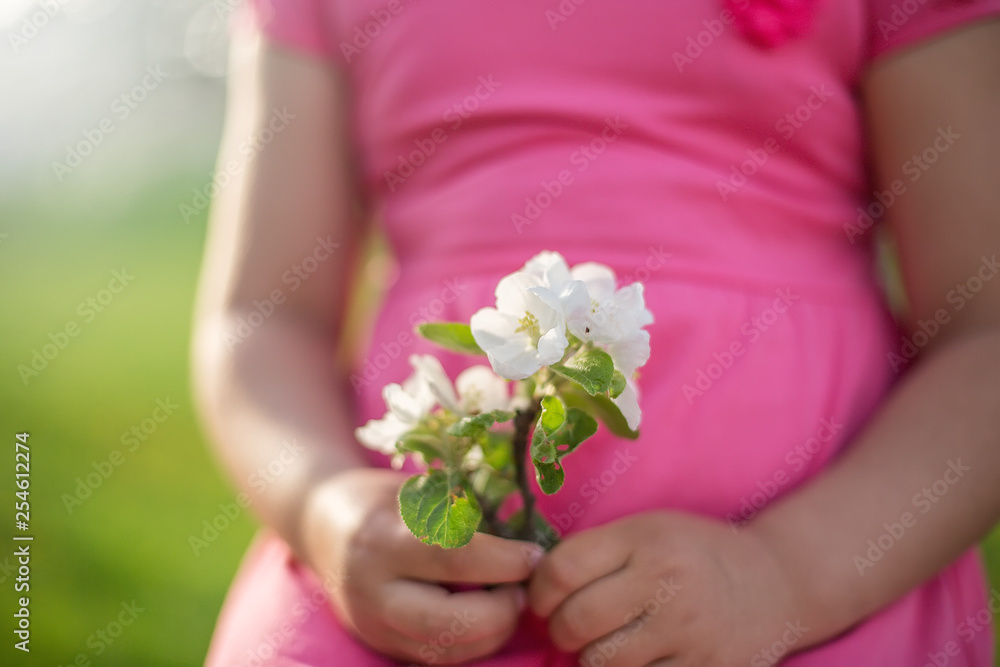 Tender flower in blossom in little girl's hands
