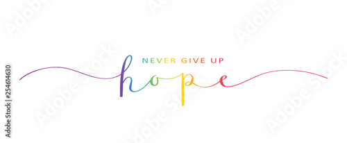 NEVER GIVE UP HOPE brush calligraphy banner