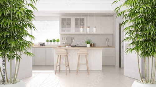 Zen interior with potted bamboo plant, natural interior design concept, scandinavian white kitchen with wooden details, island and stools, minimalist architecture concept idea