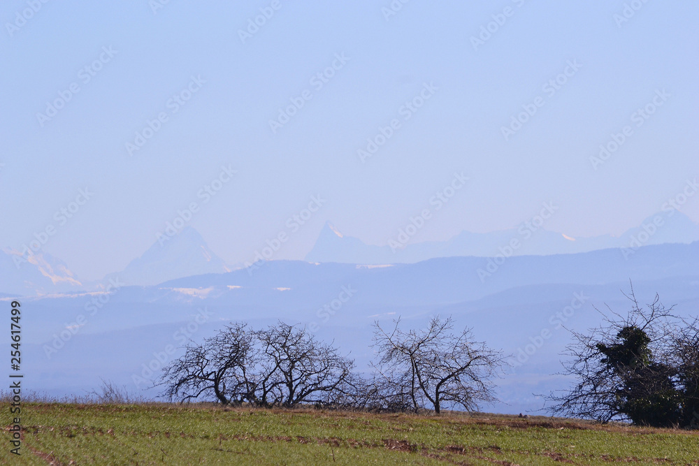Fototapeta premium vue sur les Alpes depuis les Vosges, Rotenbrunnen, Bourbach-le-Bas