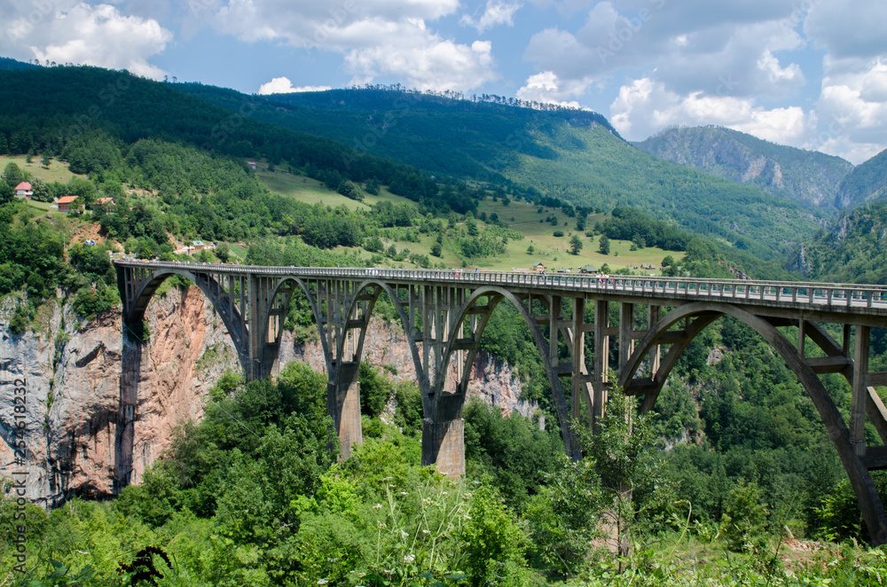Montenegro Bridge over the Tara river