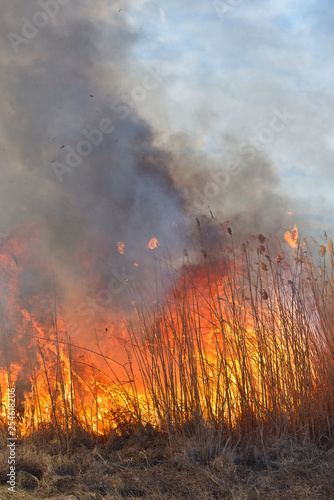 Big flames on field during fire. Accidental disaster © Daniel CHETRONI
