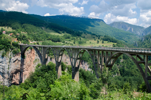 Montenegro Bridge over the Tara river