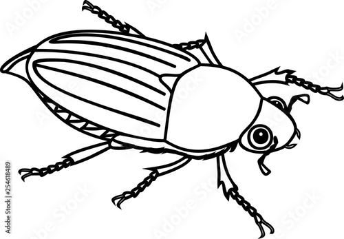 Coloring page with female cockchafer or May bug isolated on white background