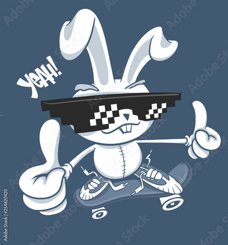 Cartoon bunny with skate vector illustration print design photo