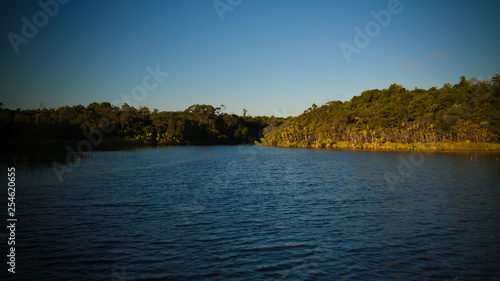 Landscape of the channel between Rasoabe and Ranomainty Lakes Toamasina Province  Madagascar