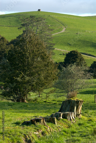 New Zealand Farm photo