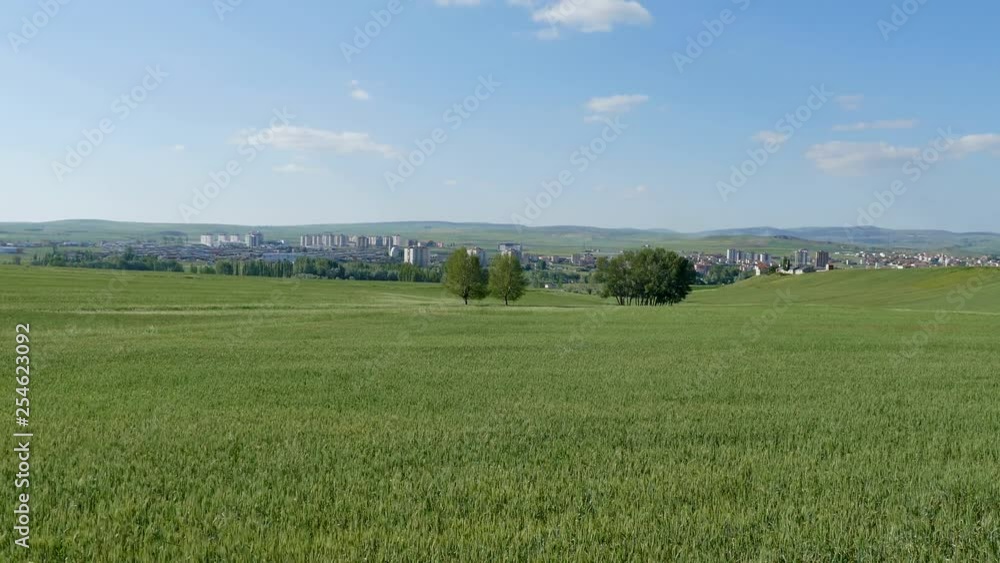 cultivated agricultural fields around the city, wheat wheat cultivation in continental climate, cultivated agricultural fields around the city, wheat wheat cultivation in continental climate,