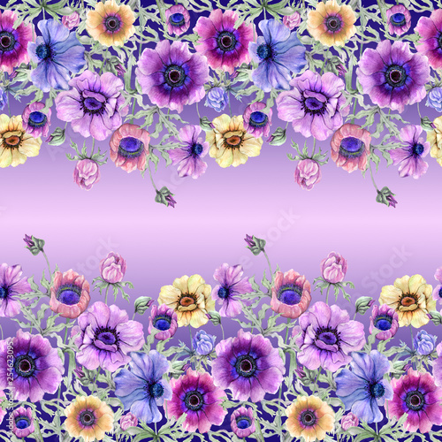 Beautiful colorful anemone flowers with green leaves on gradient background. ...