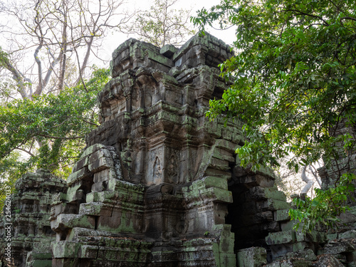 Ta Prohm Temple in Angkor, Cambodia © hyserb