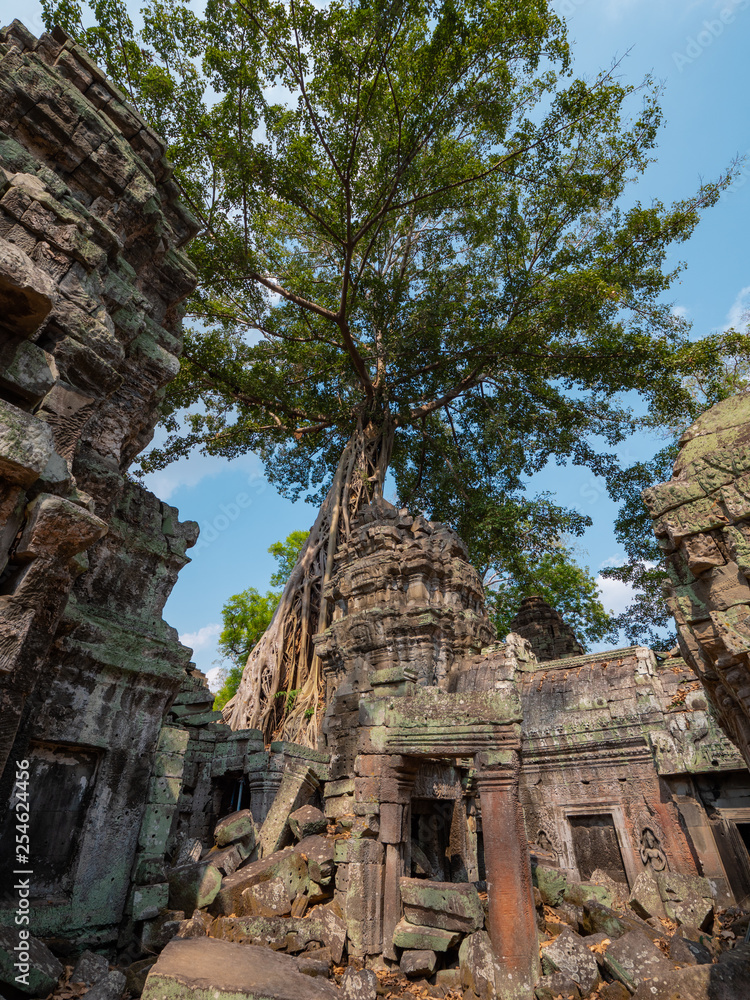 Ta Prohm Temple in Angkor, Cambodia