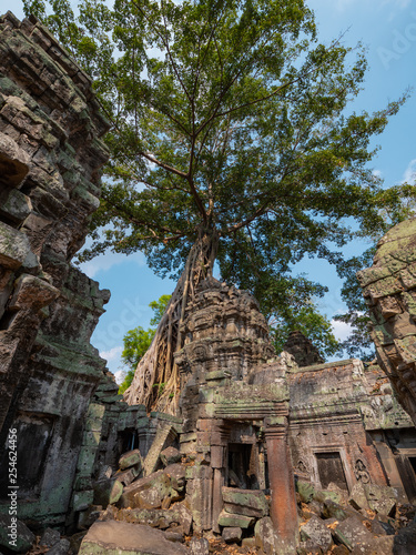 Ta Prohm Temple in Angkor, Cambodia