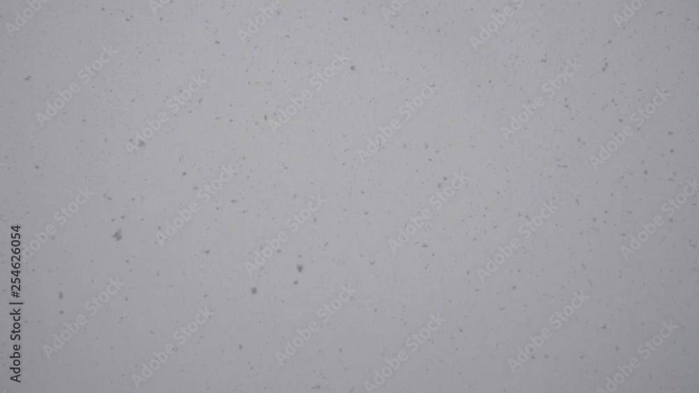 it is snowing against a gray sky it is snowing against a gray sky