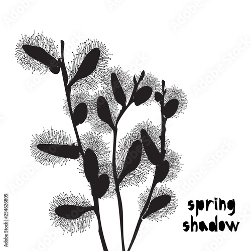 Pattern with black pussy willow silhouette shadow isolated on white background. Vintage fabric textile, fashion summer print design, exotic poster