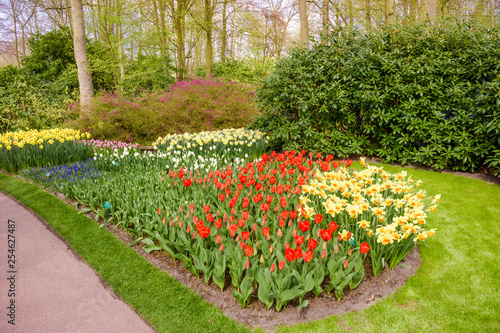 Fototapeta Naklejka Na Ścianę i Meble -  garden landscape.  garden in spring