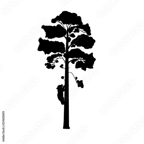 Cub bear climbs tree silhouette animal