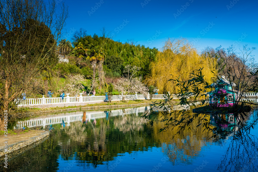 Obraz premium pond in a park
