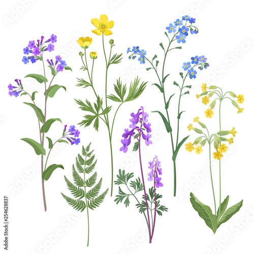 spring flowers. floral set.