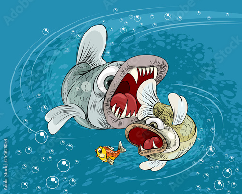 Predator fish in the sea