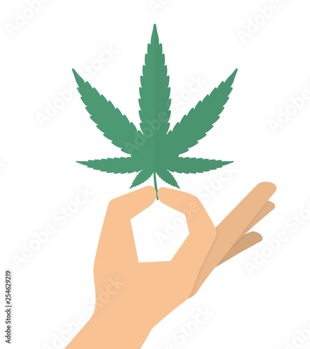 Hand holding marijuana or cannabis leaf
