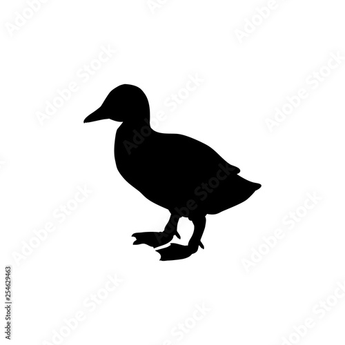 Duckling bird black silhouette animal