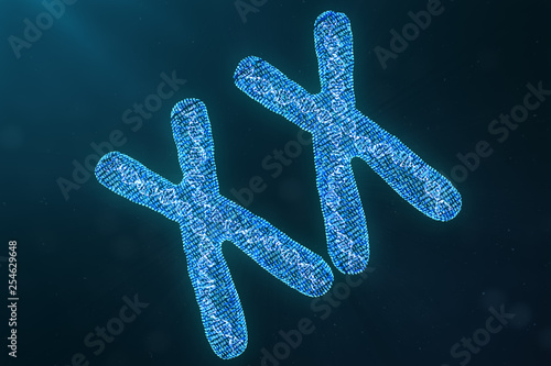 XX digital  artificial chromosomes with DNA carrying the genetic code. Genetics concept  artificial intelligence concept. Binary code in the human genome  future  genetic mutations. 3D illustration