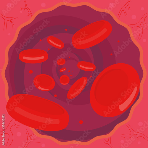 Red blood cell cartoon