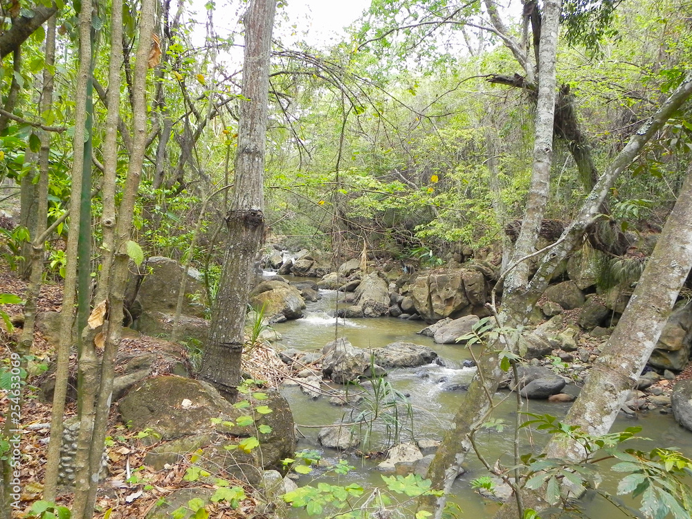 Fototapeta premium San Gil, park, Colombia