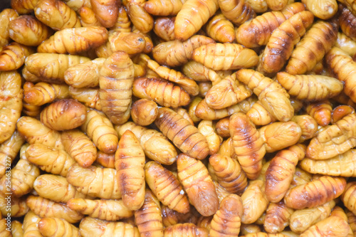 Fried insects, Bugs fried on Street food in Thailand