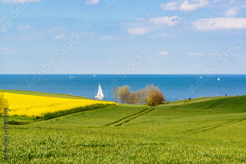 Getreide und Rapsfeld an der Ostseeküste bei Eckernförde