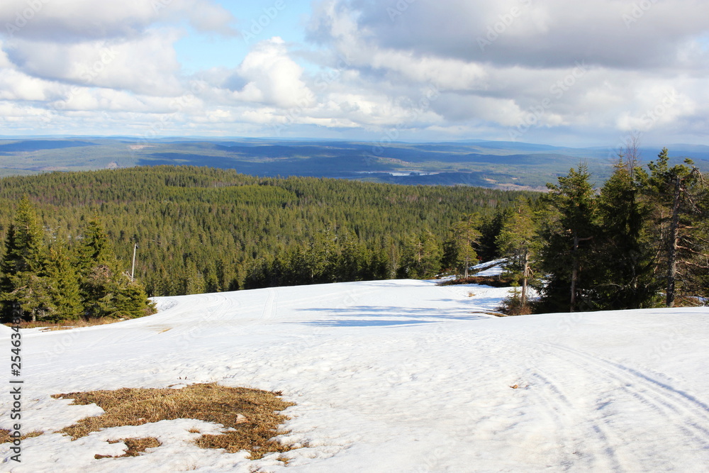 A skiing resort 