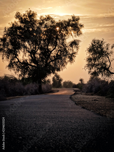 road in the fog