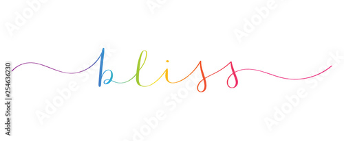 BLISS rainbow brush calligraphy banner photo