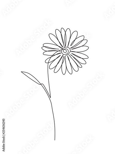 Chamomile continuos line drawing. Black simple hand drawn. Abstract floral linear
